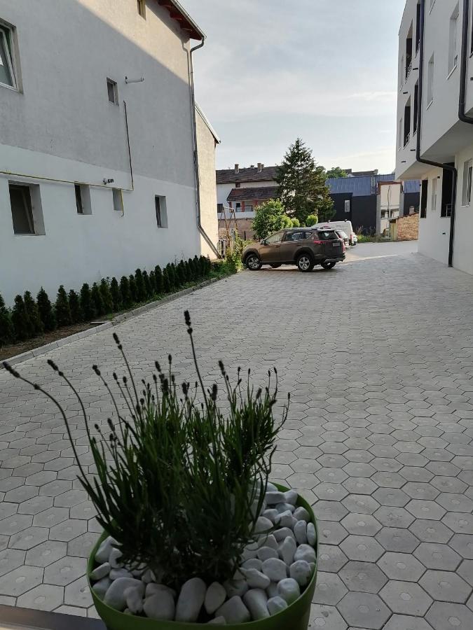 Apartman Stimac Petrovaradin Luaran gambar